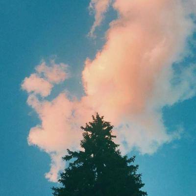海贼杀ol变态版下载