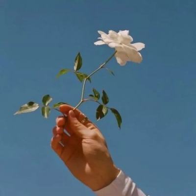 飞剑魔斩果盘版下载